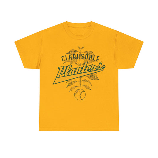 Clarksdale Planters Est 1934 Mississippi Baseball T-shirt