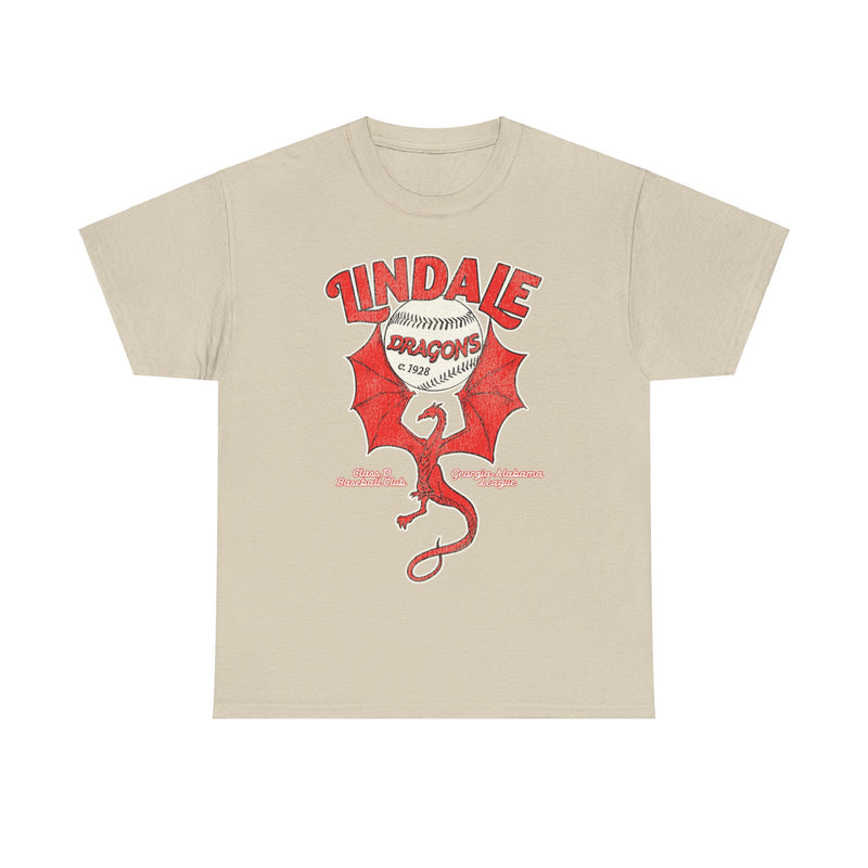 Load image into Gallery viewer, Lindale Dragons Nostalgic Retro Baseball Team T-shirt
