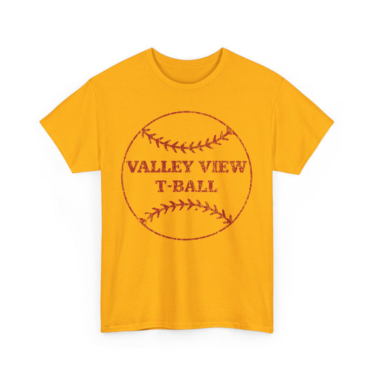 Valley View T-Ball Baseball 1999 Pop Star Sports T-shirt