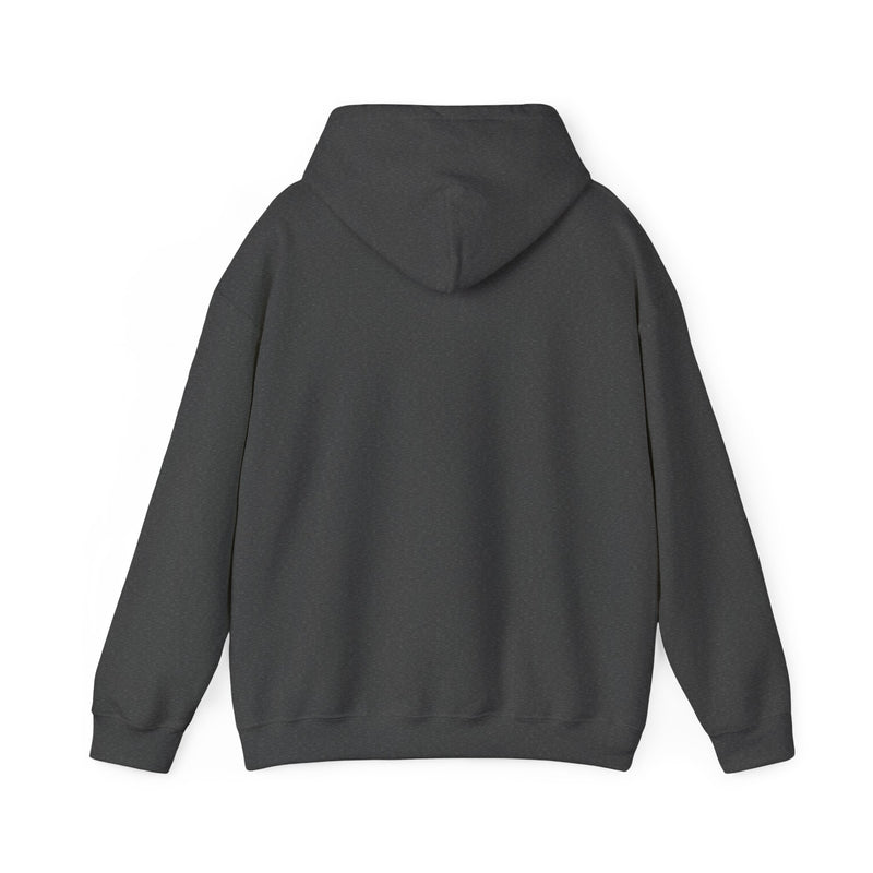 Load image into Gallery viewer, Silk Road Anonymous Marketplace Nostalgic Logo Pullover Hoody
