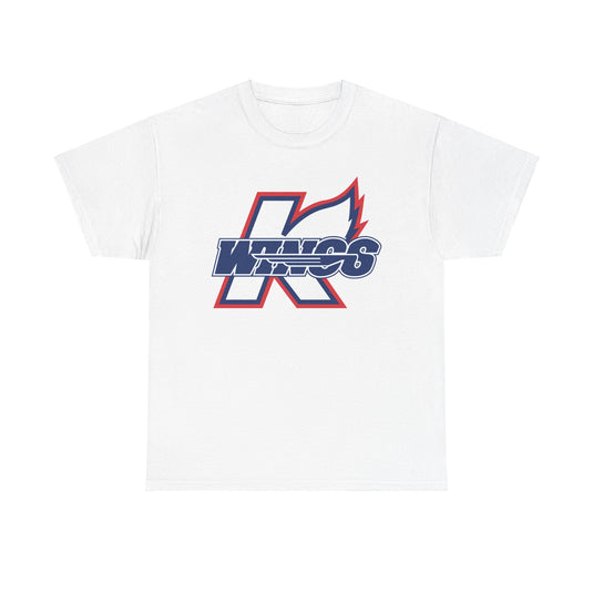 Kalamazoo Wings Michigan Hockey 1974-1995 T-shirt