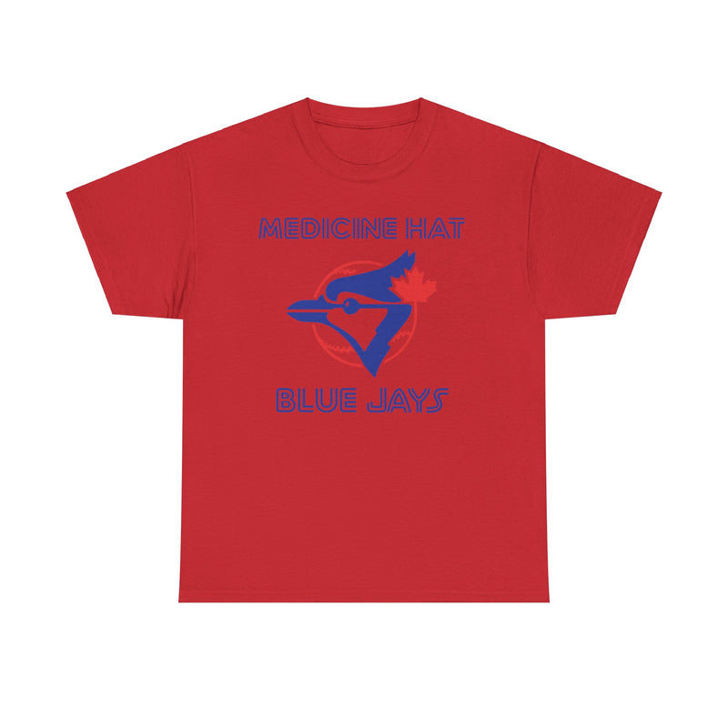 Load image into Gallery viewer, Medicine Hat Alberta Blue Jays Canada Baseball 1978-2002 T-shirt
