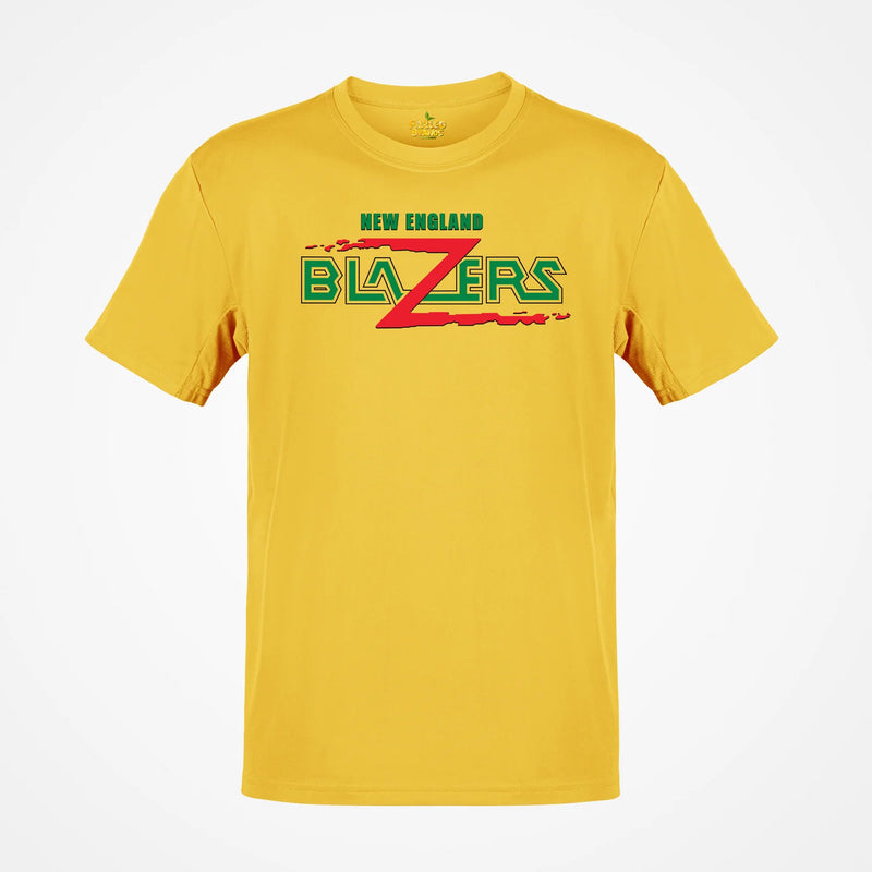 Load image into Gallery viewer, New England Blazers Major Indoor Lacrosse League 1989-1991 T-shirt
