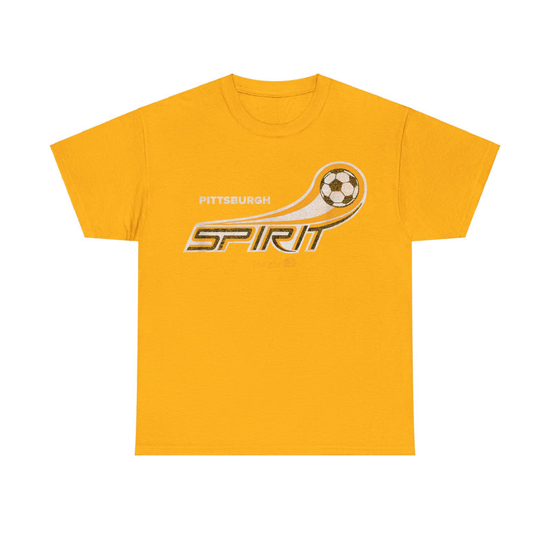 Load image into Gallery viewer, Pittsburgh Spirits Pennsylvania Soccer Team T-shirt
