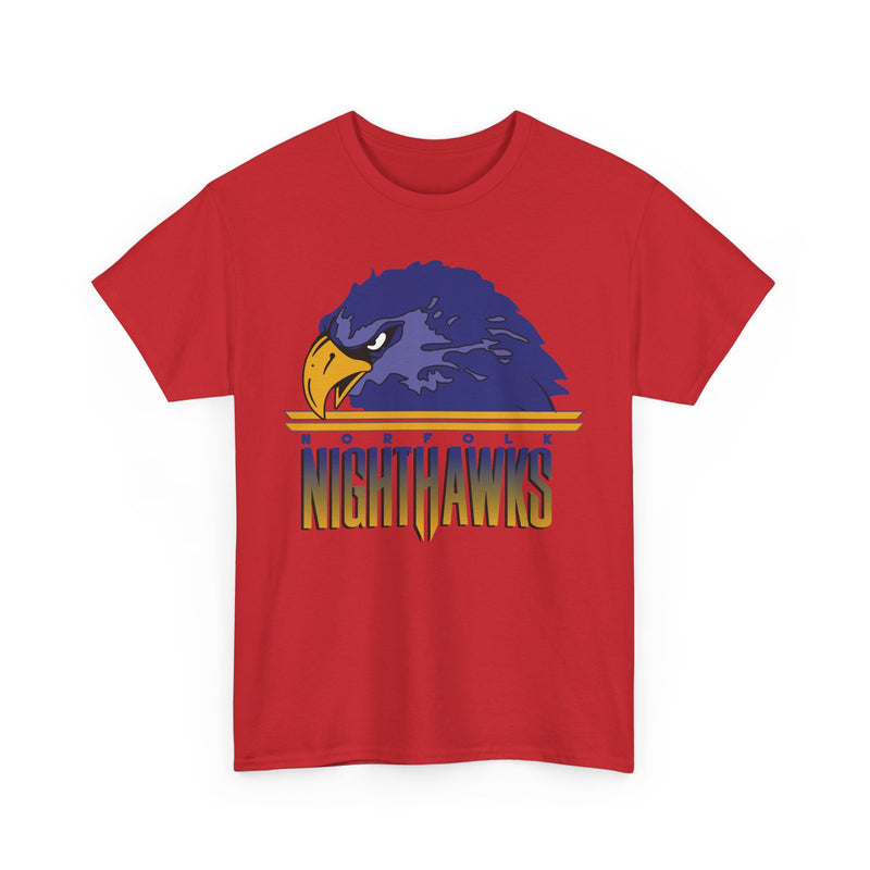 Load image into Gallery viewer, Norfolk Nighthawks Virginia Arena Football 2000-2003 T-shirt
