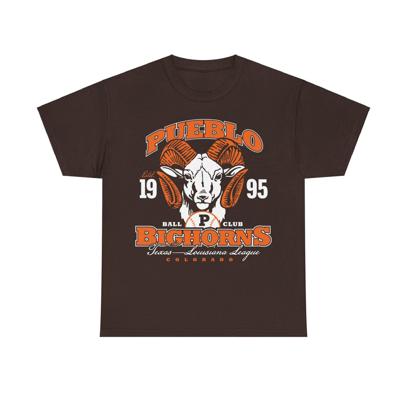 Load image into Gallery viewer, Pueblo Bighorns Est 1995 Colorado Baseball T-shirt
