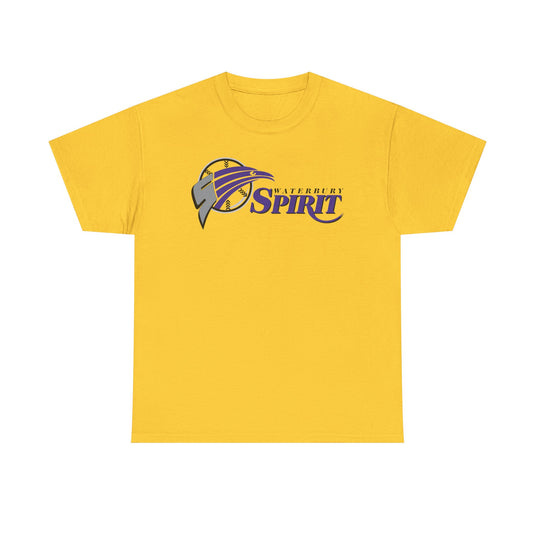 Waterbury Connecticut Spirit Baseball 1997-2000 T-shirt