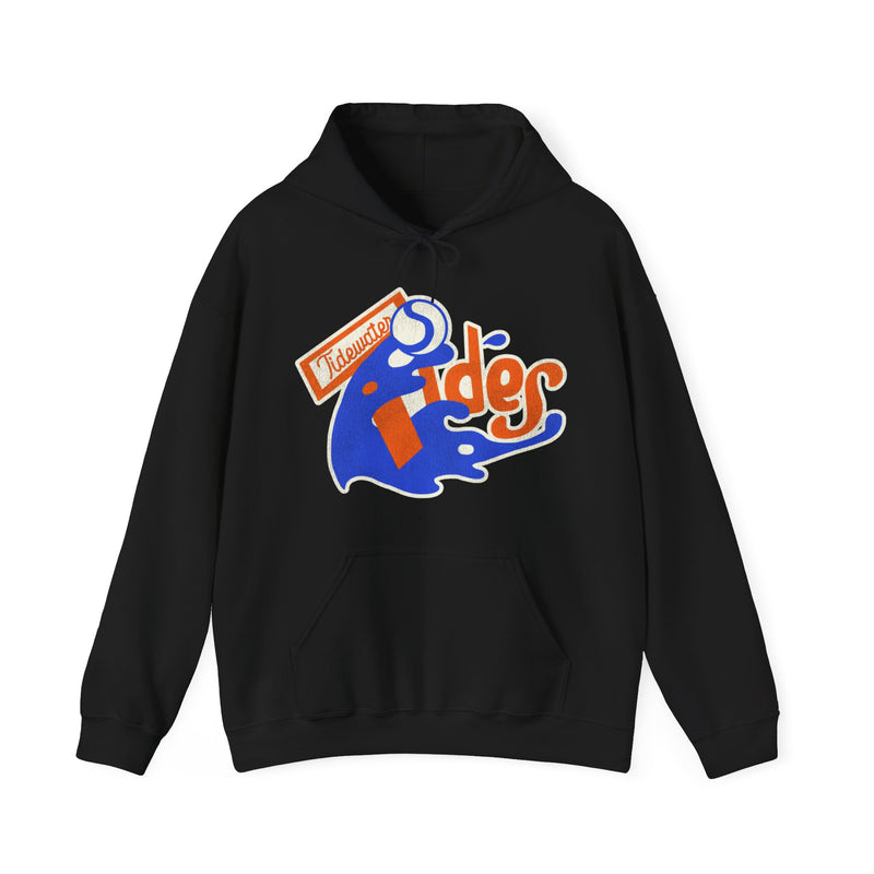 Load image into Gallery viewer, Tidewater Tides Virginia Baseball Pullover Hoody
