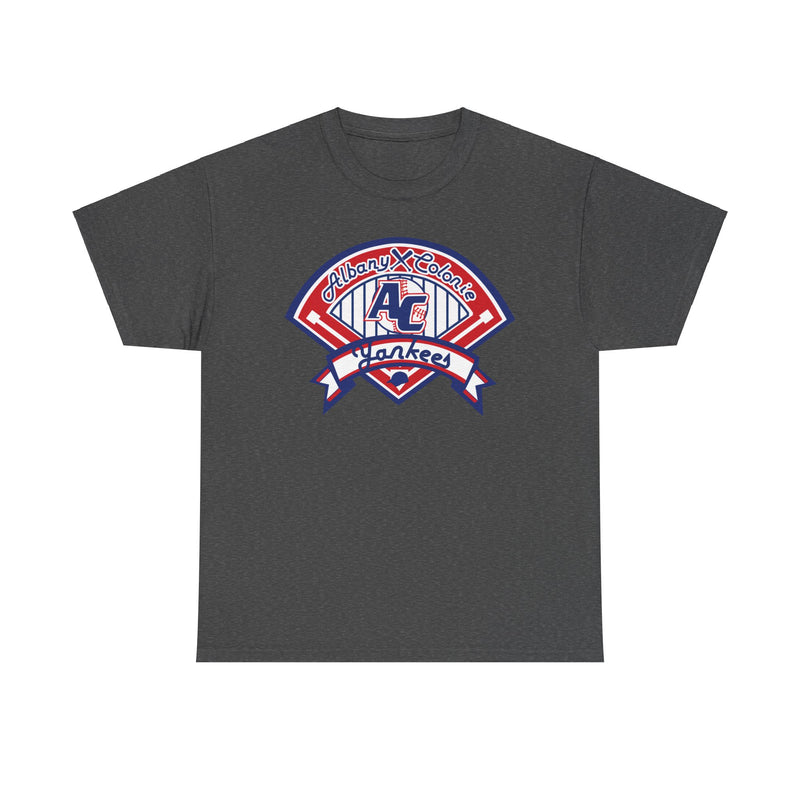 Load image into Gallery viewer, Albany Colonie Yankees New York Baseball T-shirt
