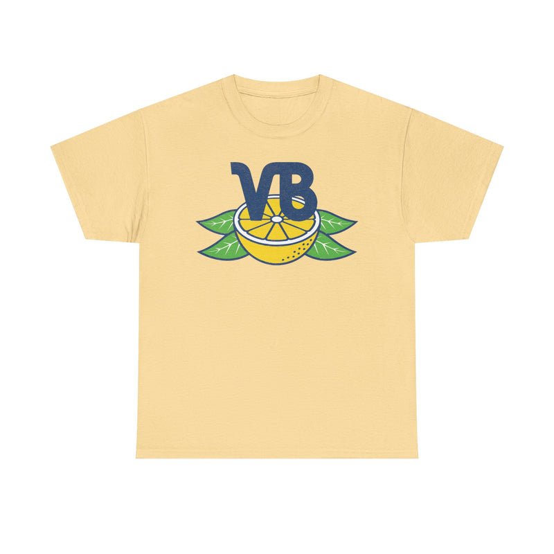 Load image into Gallery viewer, Vero Beach Dodgers Baseball Team Retro Nostalgic T-shirt

