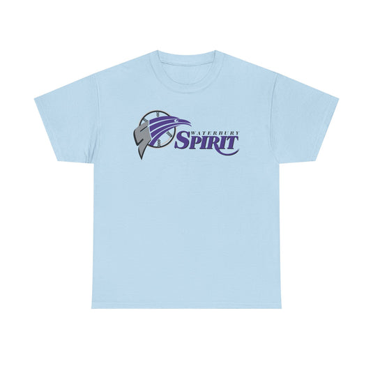Waterbury Connecticut Spirit Baseball 1997-2000 T-shirt