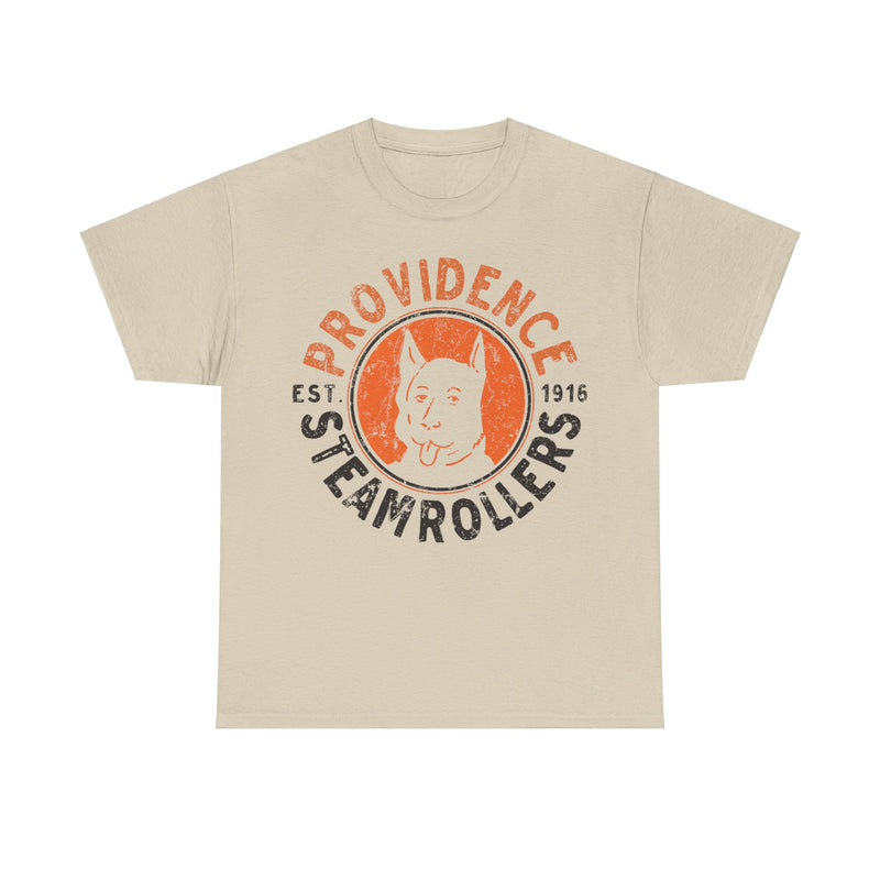 Load image into Gallery viewer, Providence Steamrollers Rhode Island Est 1916 Football T-shirt
