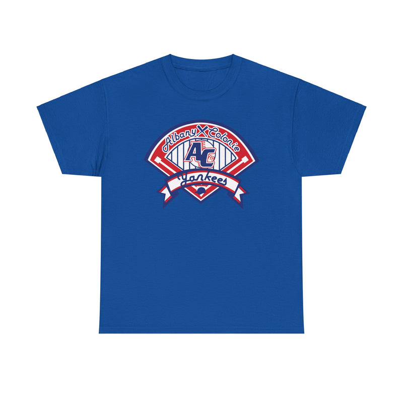 Load image into Gallery viewer, Albany Colonie Yankees New York Baseball T-shirt
