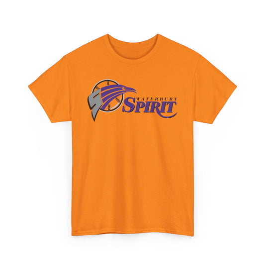 Waterbury Connecticut Spirit Baseball 1997-2000 T-shirt