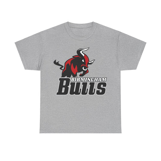 Birmingham Bulls Alabama Football Team T-shirt