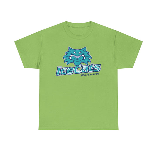Worcester IceCats Hockey 1994-2005 Massachusetts T-shirt