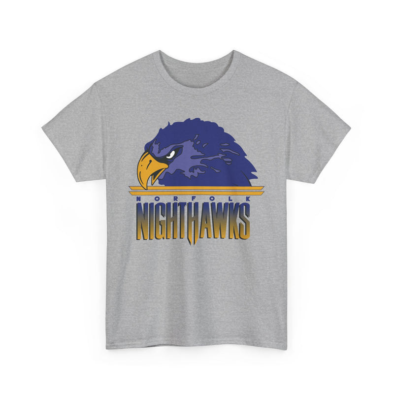 Load image into Gallery viewer, Norfolk Nighthawks Virginia Arena Football 2000-2003 T-shirt
