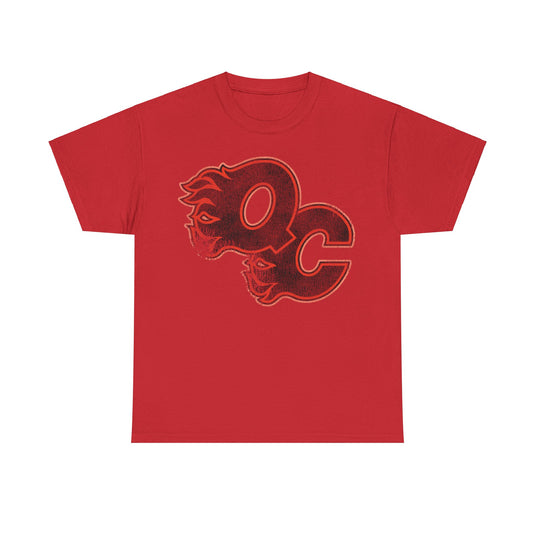 Quad City Flames Illinois Hockey Team T-shirt