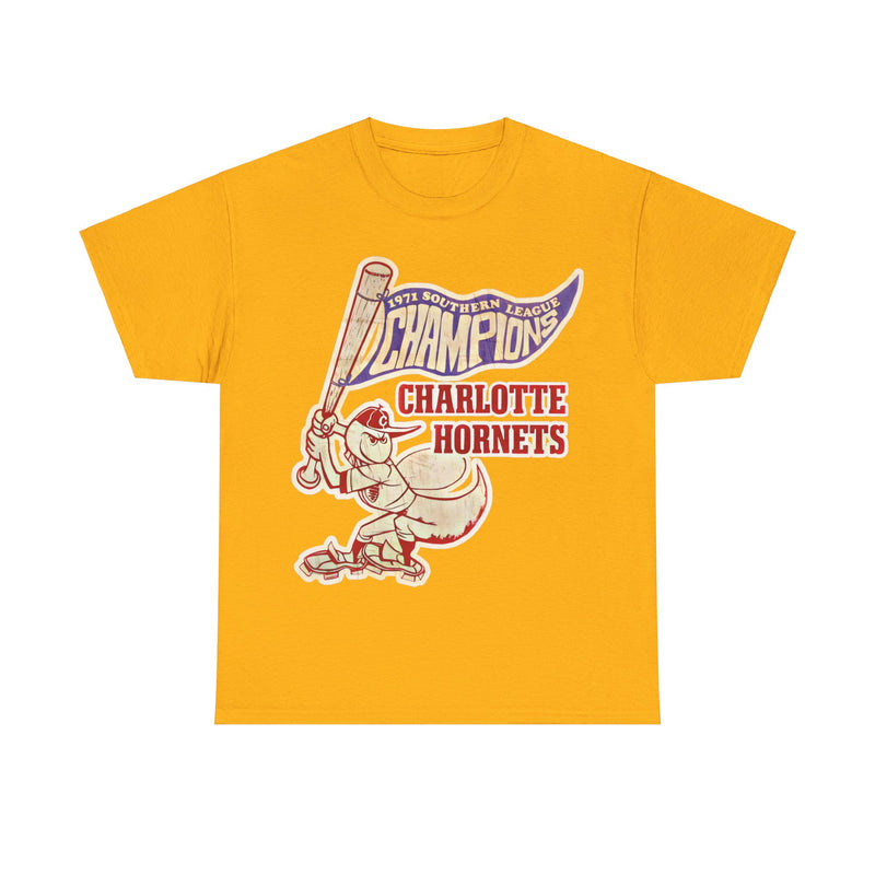 Load image into Gallery viewer, Charlotte Hornets 1971 Southern League Baseball T-shirt
