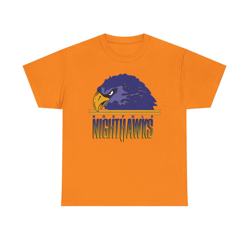 Load image into Gallery viewer, Norfolk Nighthawks Virginia Arena Football 2000-2003 T-shirt
