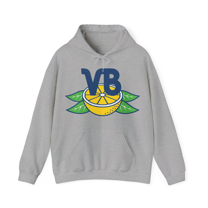 Vero Beach Dodgers Baseball Team Retro Pullover Hoody