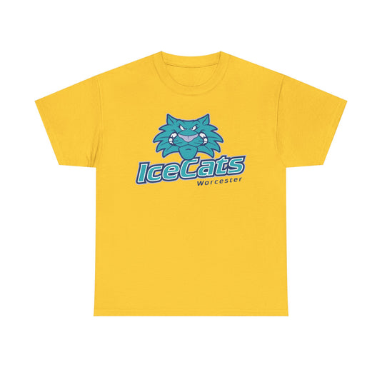 Worcester IceCats Hockey 1994-2005 Massachusetts T-shirt