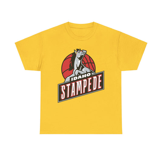 Idaho Stampede Continental Basketball Association NBA D-League 1997-2016 T-shirt