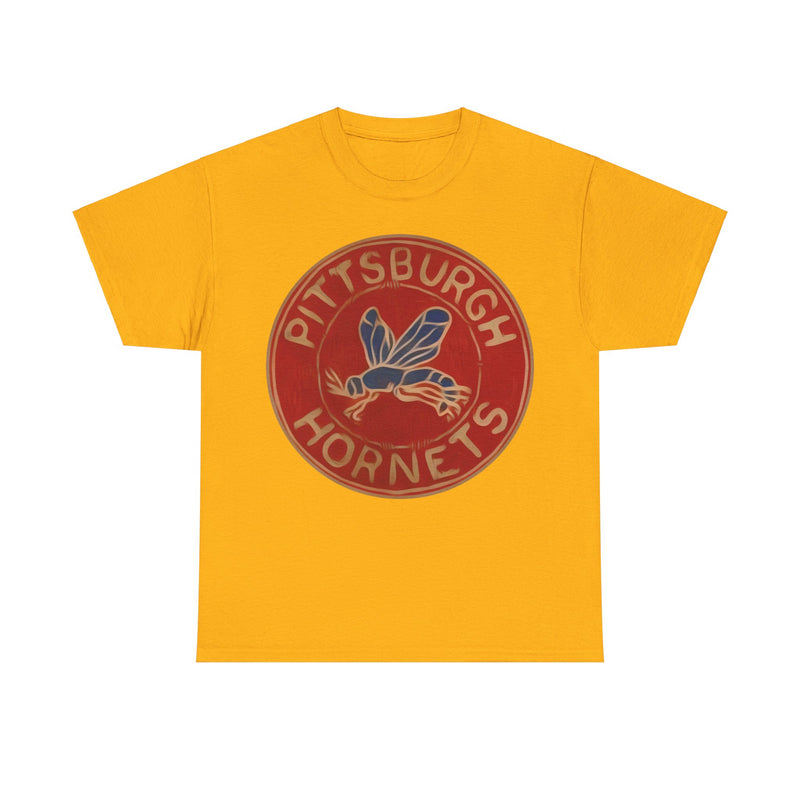 Load image into Gallery viewer, Pittsburgh Hornets Pennsylvania Hockey Team T-shirt
