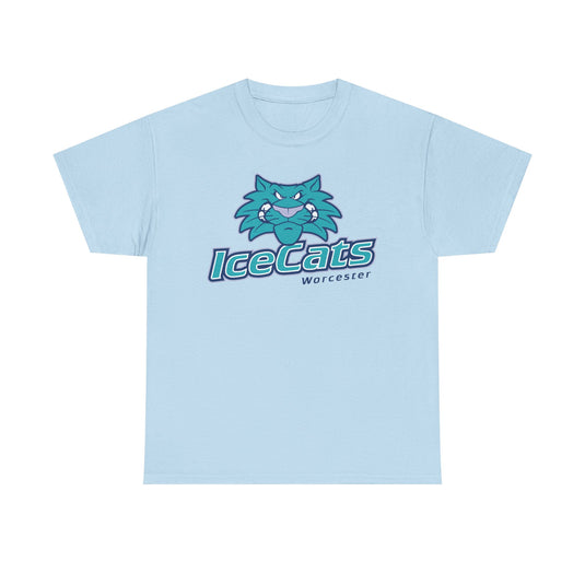 Worcester IceCats Hockey 1994-2005 Massachusetts T-shirt