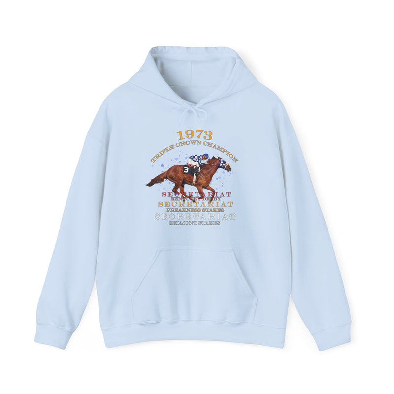 Load image into Gallery viewer, Triple Crown Champion Secretariat 1973 Nostalgic Pullover Hoody
