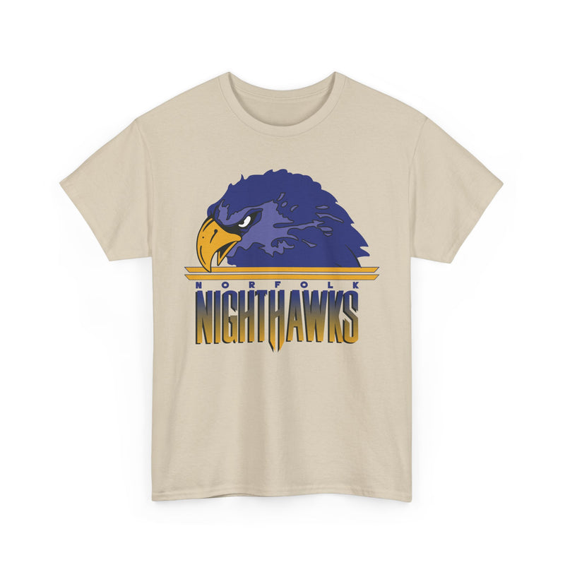 Load image into Gallery viewer, Norfolk Nighthawks Virginia Arena Football 2000-2003 T-shirt
