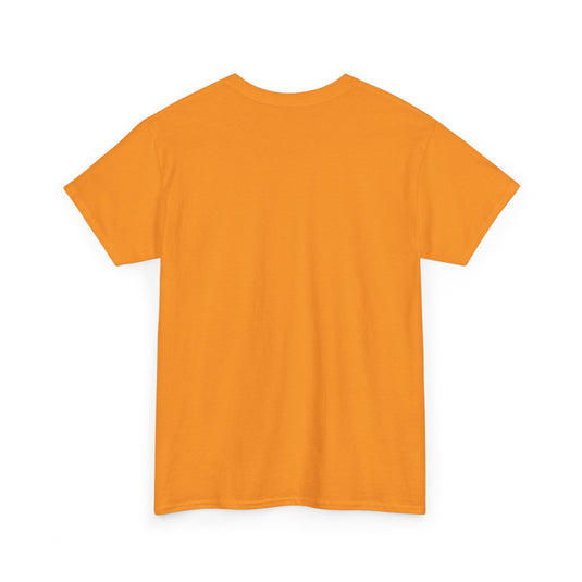 Sioux City Iowa Soos Baseball 1947-1960 T-shirt