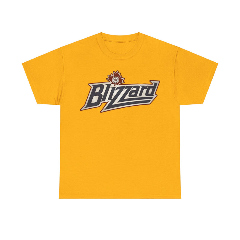 Load image into Gallery viewer, Toronto Blizzards Canada Soccer Team T-shirt
