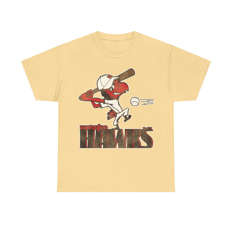 Load image into Gallery viewer, Waterloo Hawks Nostalgic Retro Baseball Team T-shirt
