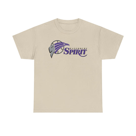 Waterbury Connecticut Spirit Baseball 1997-2000 T-shirt