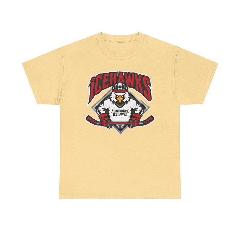 Load image into Gallery viewer, Adirondack Ice Hawks New York Hockey T-shirt
