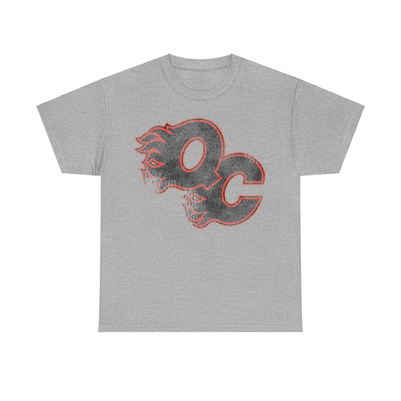 Load image into Gallery viewer, Quad City Flames Illinois Hockey Team T-shirt
