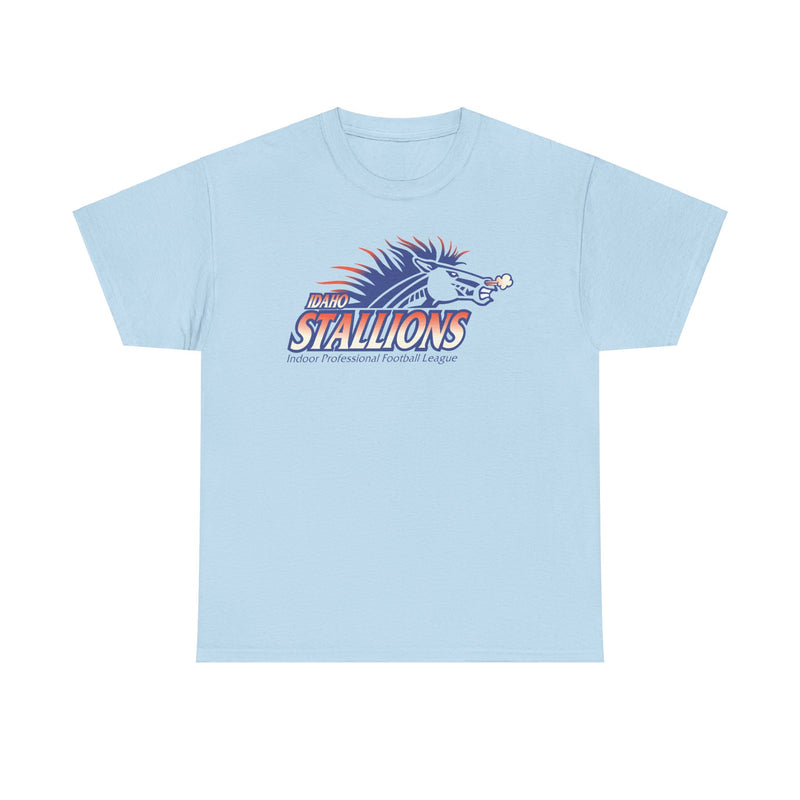 Load image into Gallery viewer, Boise Stallions Idaho Indoor Professional Football League 2001 T-shirt
