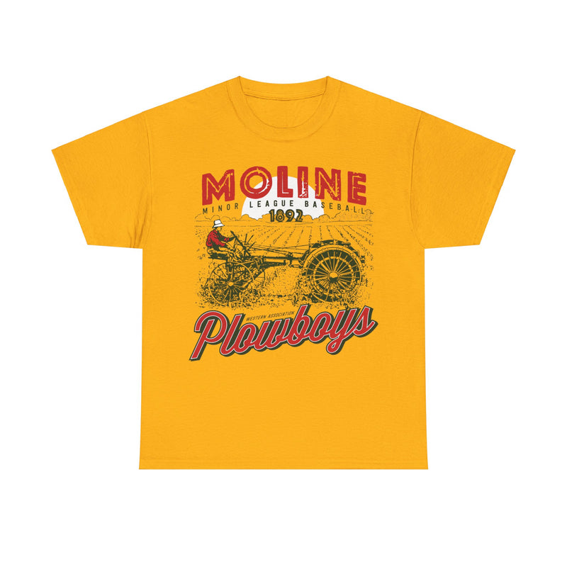 Load image into Gallery viewer, Moline Plowboys Est 1892 Illinois Baseball T-shirt
