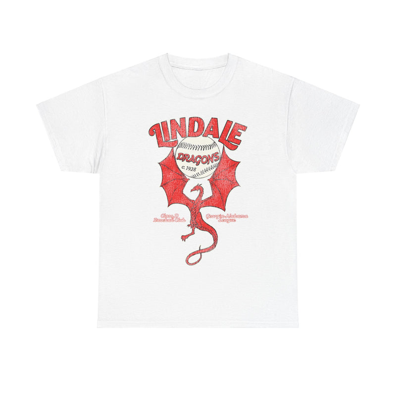 Load image into Gallery viewer, Lindale Dragons Nostalgic Retro Baseball Team T-shirt
