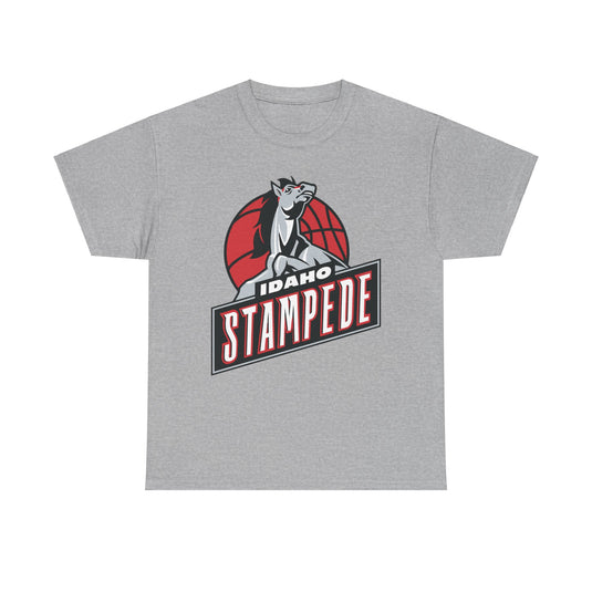 Idaho Stampede Continental Basketball Association NBA D-League 1997-2016 T-shirt