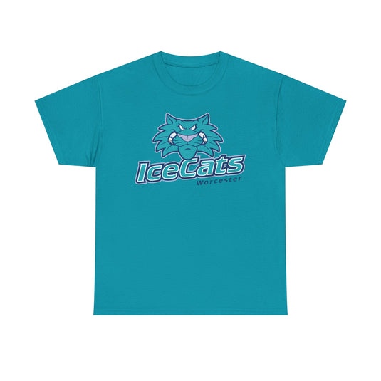 Worcester IceCats Hockey 1994-2005 Massachusetts T-shirt