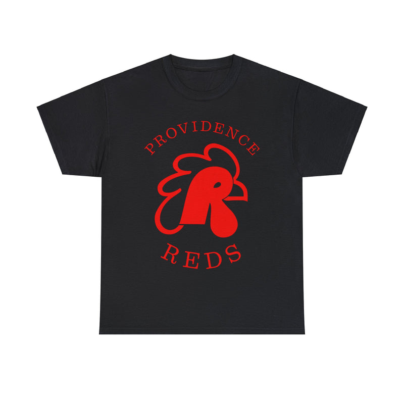 Load image into Gallery viewer, Providence Reds Hockey AHL 1977 Nostalgic Logo T-shirt
