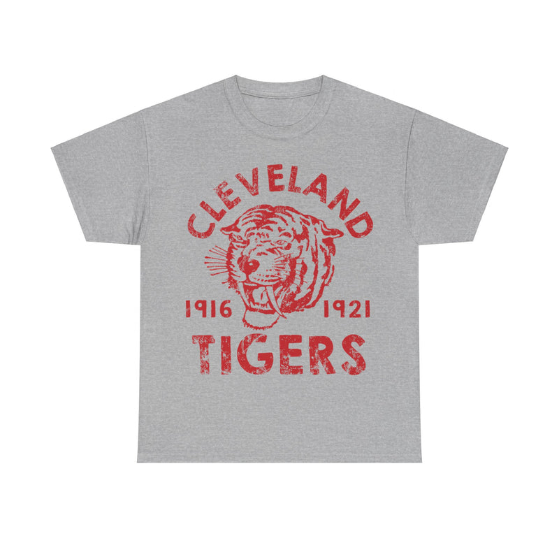 Load image into Gallery viewer, Cleveland Tigers 1916-1921 Ohio Football Team T-shirt
