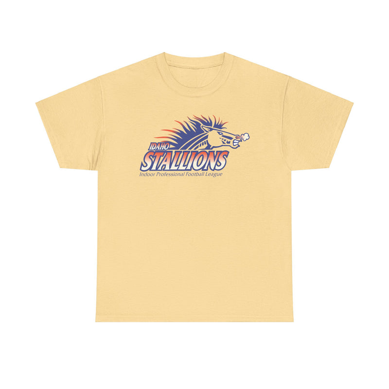 Load image into Gallery viewer, Boise Stallions Idaho Indoor Professional Football League 2001 T-shirt
