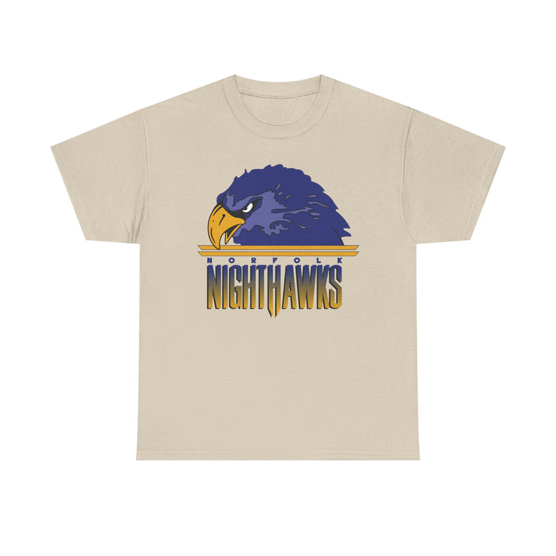 Load image into Gallery viewer, Norfolk Nighthawks Virginia Arena Football 2000-2003 T-shirt
