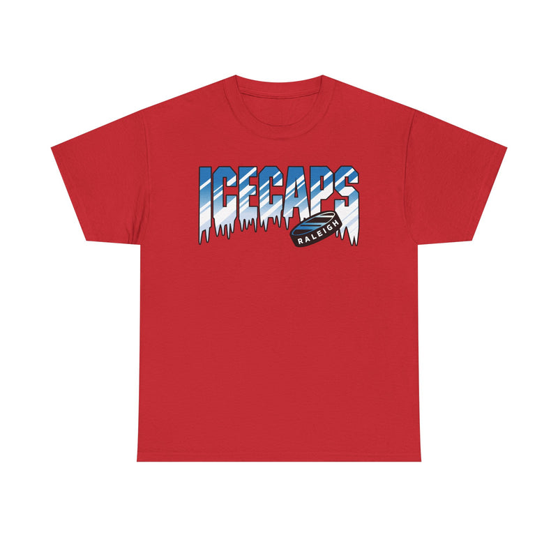 Load image into Gallery viewer, Raleigh IceCaps North Carolina Hockey 1991-1998 T-shirt
