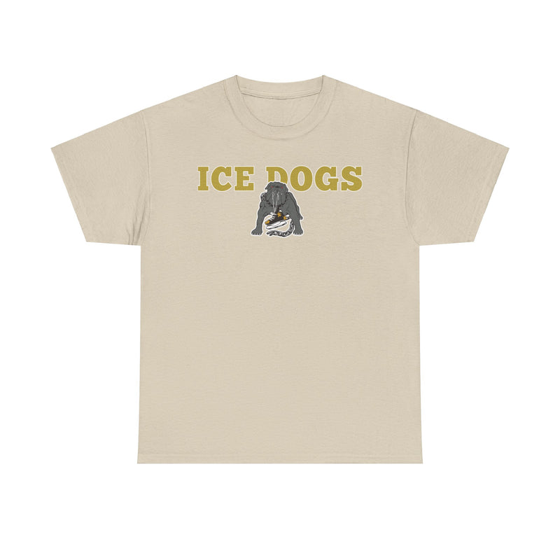 Load image into Gallery viewer, Los Angeles Ice Dogs International Hockey League 1995-1996 California T-shirt
