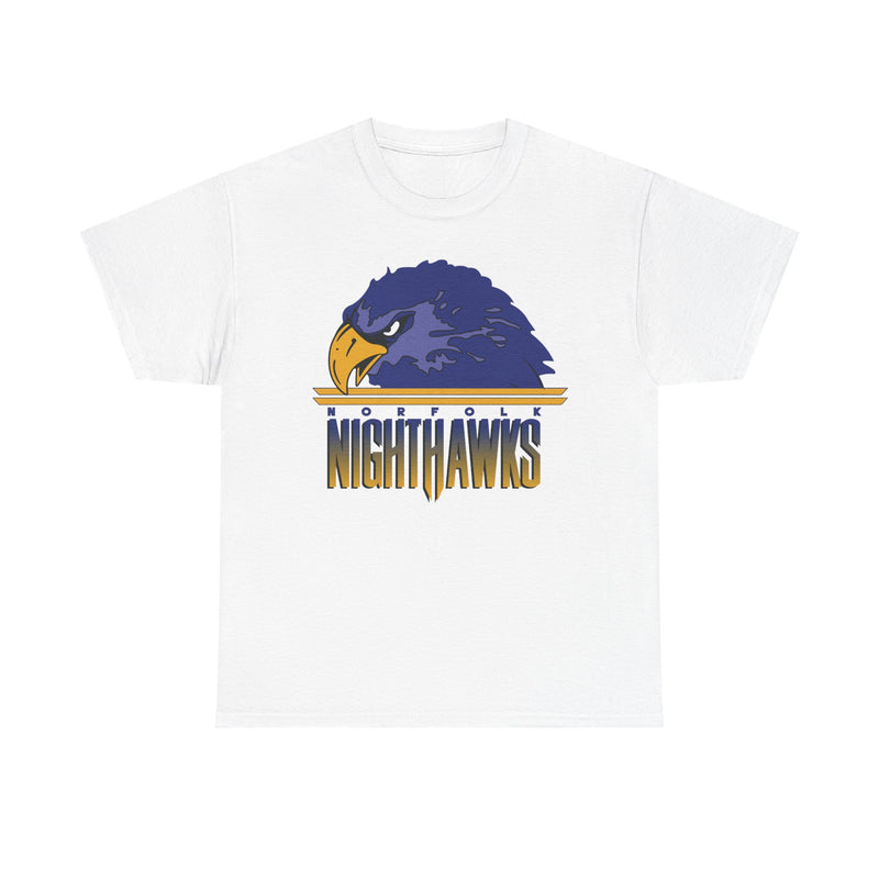 Load image into Gallery viewer, Norfolk Nighthawks Virginia Arena Football 2000-2003 T-shirt
