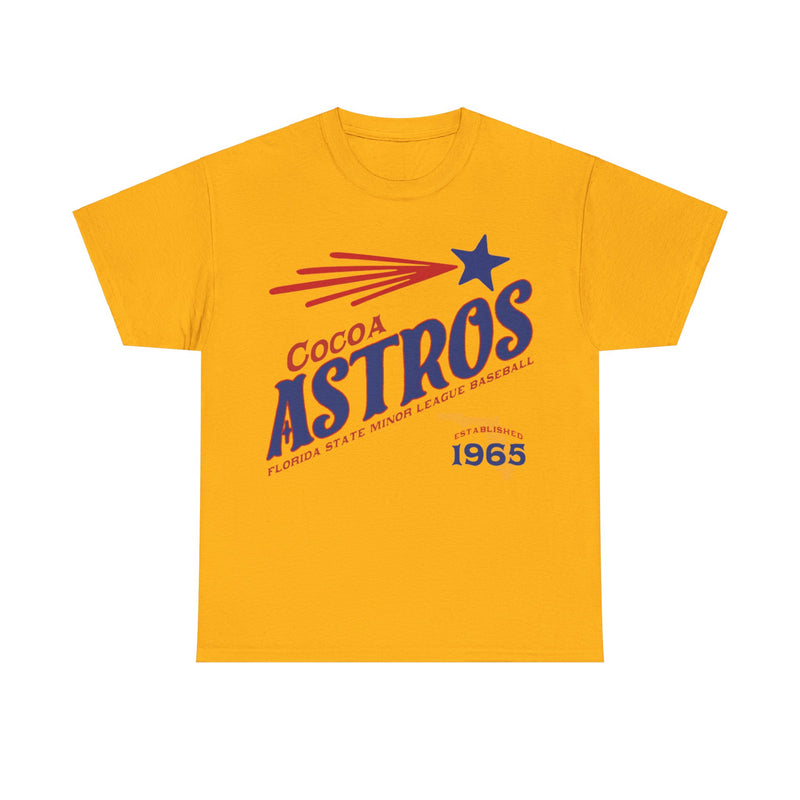 Load image into Gallery viewer, Cocoa Astros Est 1965 Florida Baseball T-shirt
